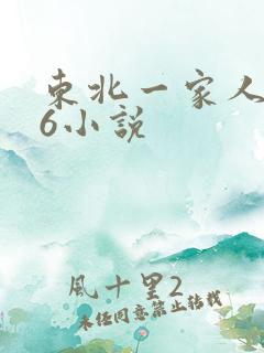 东北一家人1一6小说