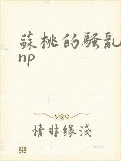 苏桃的骚乱文肉np