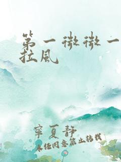 第一微微一笑很拉风