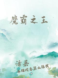 魔霸之王