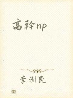 高干np