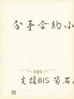 分手合约小说