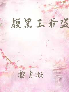 腹黑王爷盗墓妃