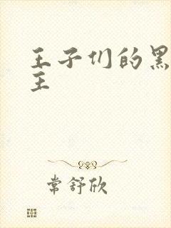 王子们的黑道公主