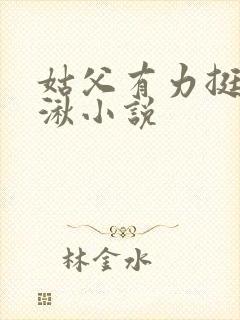 姑父有力挺送徐湫小说