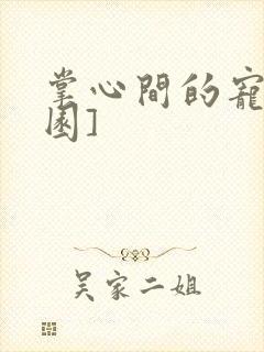 掌心间的宠[校园]