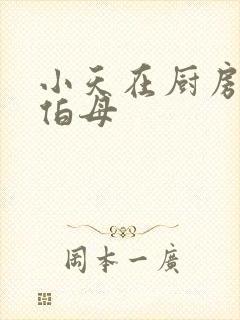 小天在厨房插杨伯母