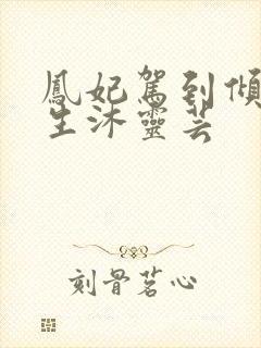 凤妃驾到倾倒众生沐灵芸