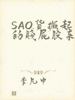 SAO货撅起你的贱屁股来