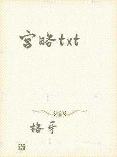 宫略txt