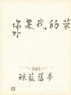 你是我的荣耀番外