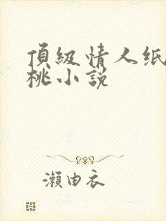 顶级情人纸皮核桃小说