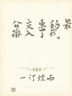 公交车的最后一排入了我