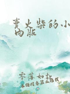 卖火柴的小男孩 肉版