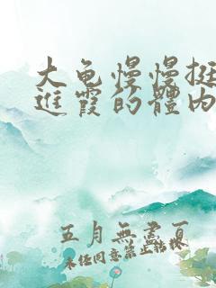 大龟慢慢挺进王进霞的体内