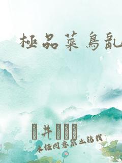 极品菜鸟乱江湖