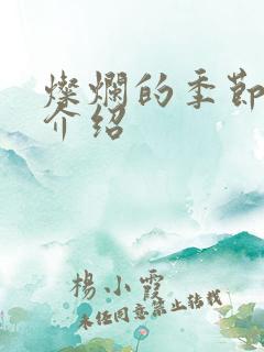 灿烂的季节剧情介绍