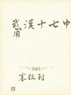 武汉十七中女主角