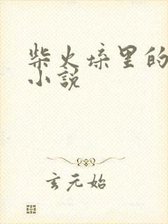 柴火垛里的疯狂小说