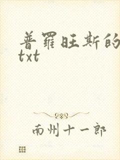 普罗旺斯的一年txt