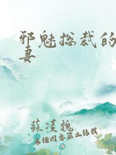 邪魅总裁的替身妻