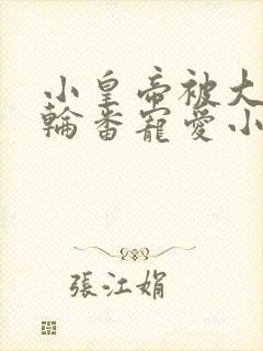 小皇帝被大臣们轮番宠爱小说