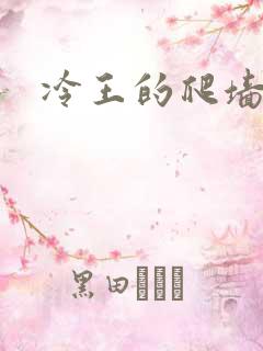 冷王的爬墙丑妃