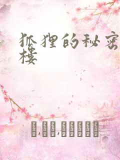 狐狸的秘密19楼