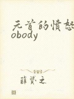 元首的愤怒之nobody
