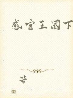 感官王国下载