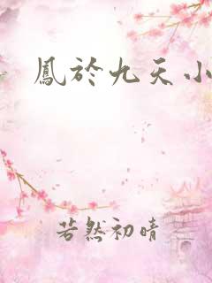 凤于九天小说