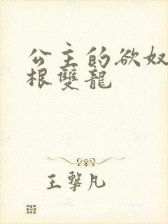 公主的欲奴h四根双龙