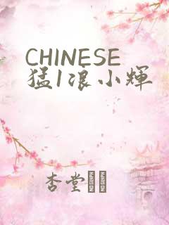 CHINESE猛1浪小辉