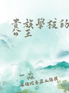 贵族学校的双面公主