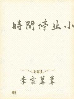 时间停止小说