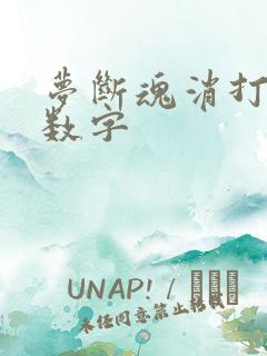 梦断魂消打三个数字