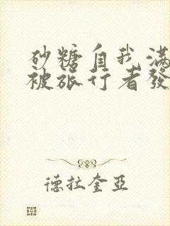 砂糖自我满足时被旅行者发现小说