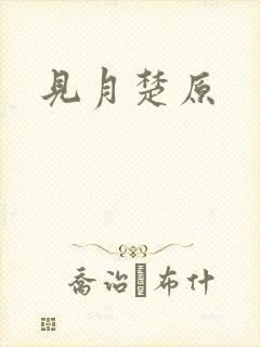 见月楚原