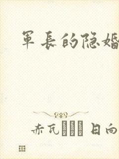 军长的隐婚娇妻