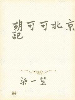 胡可可北京成功记