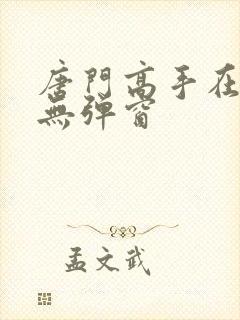 唐门高手在异世无弹窗