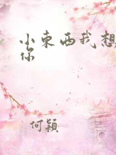 小东西我想弄坏你