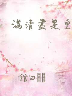 满清尽是皇阿哥