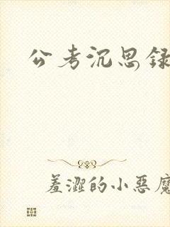 公考沉思录