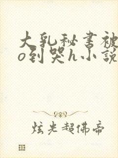 大乳秘书被cao到哭h小说