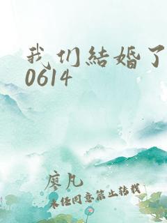 我们结婚了130614