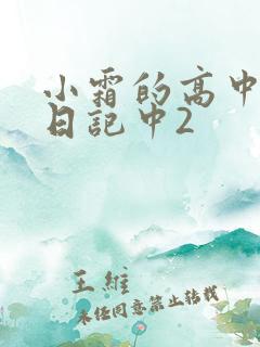 小霜的高中成长日记中2