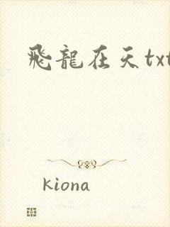 飞龙在天txt