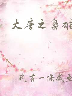 大唐之枭雄天下