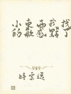 小东西我找到你的敏感点了